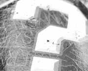 L'enfant à naître contre le droit du choix.