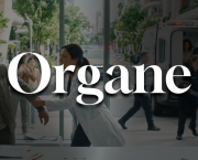 Organe