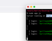 🇺🇸 (Re-)learn backend basics
