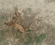 Losing the sun (part 1/3)