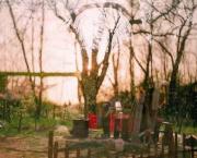 Working Notes/ Similarities between the Myths of Ophelia and Melinda (a poem)