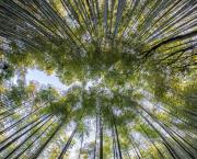 Une catastrophe écologique qui perdure 