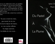 Du Pastel à la Plume