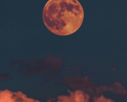 Une journée d'hiver austral