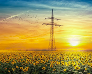 J'ai appris (poème)