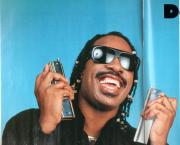 Stevie Wonder - Des clés pour la vie