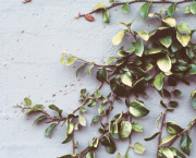 Il sonno della ragione