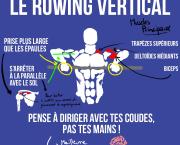 Le rowing vertical