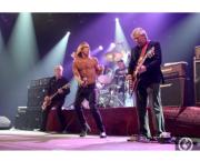 I wanna be your dog – L'ombre des Stooges