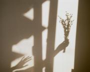 Le crépuscule des dieux