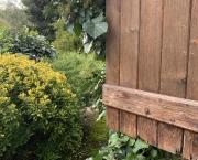 Le jardin grimpant du 28 Octobre