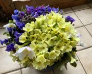 Votre bouquet du Dimanche 13 Mars
