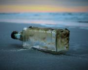 Argo découvre le bois qui n'existe pas