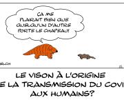 Pangolin et vison