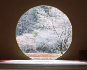 4 - Pourquoi les discussions pointues deviennent rares entre humains ?