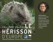 Le hérisson d'Europe
