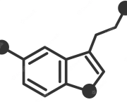 Essere felici è una questione di chimica, letteralmente