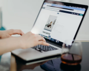 L’art des puces dans le blogging