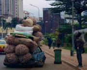 SOUS-DEVELOPPEMENT EN AFRIQUE : LE PARADOXE DE L’ABONDANCE