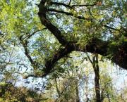 Journal de bord de jeûne #2