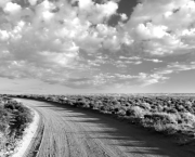 Les chemins de la conscience .