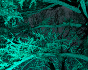 Insomnie, un somme nide ma nuit.