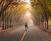 Jour 8  - 30/11/2018