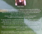 Le jardin du 13 Septembre