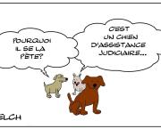 chien médiateur