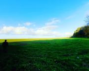 Biorythmes