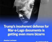 "Unprecedented Investigation", so what's on ? 