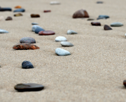 Mini expo photo 25 : Un go sur la plage