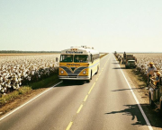 Sur la route de Memphis