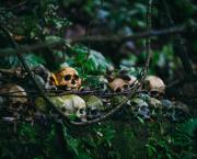 Bertrand a un carnet de commandes bien rempli