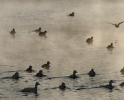 L’HOMME ET LA POÉSIE - Adresse à celui qui lit
