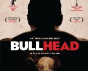 Bullhead