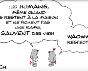 LES BEBES RATONS: LE CONFINEMENT