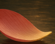 L'indifférence à  l'égard des faibles