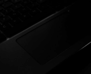 Omnivores, végans : et si l’ennemi était ailleurs ?