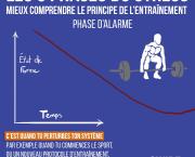 Les 3 phases du stress