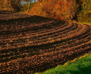 Feuillet d'avril : sillon, outils et semailles