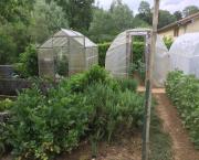 Le jardin du 29 Mai