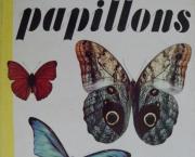 Les plus beaux papillons