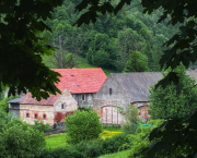 Bled