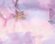 Papillon de ciel