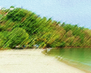 Assaut à l'Anse à L’Âne, la plage de la jeunesse martiniquaise !