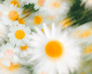 Strumenti di contrasto alle fake news nel periodo del Covid-19