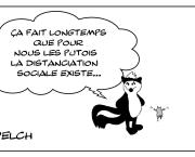 les putois s'y connaissent en distanciation sociale