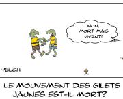 Gilets jaunes morts ou pas ? ou les deux ?