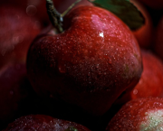 Banquet fruité